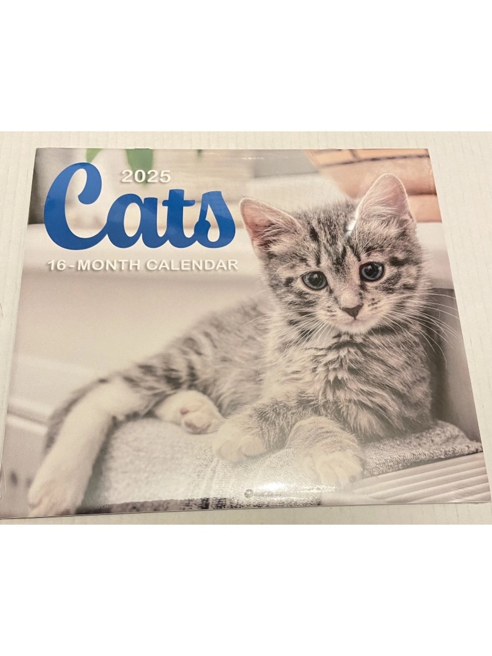 2025 Cats And Kittens 16 Month Calendar 11 x 10 Sealed New.